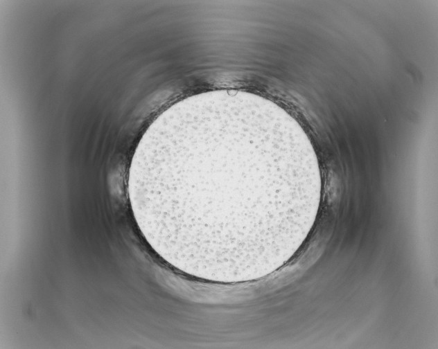 X0000111250044200908131216