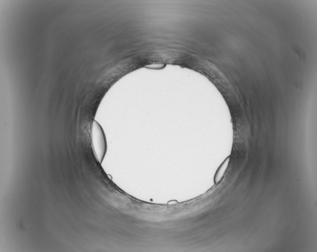 X0000111250045200908131216