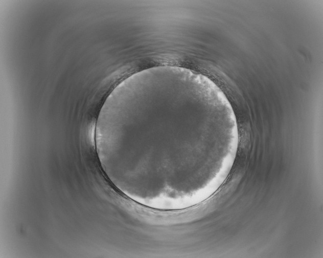 X0000111250047200908131216