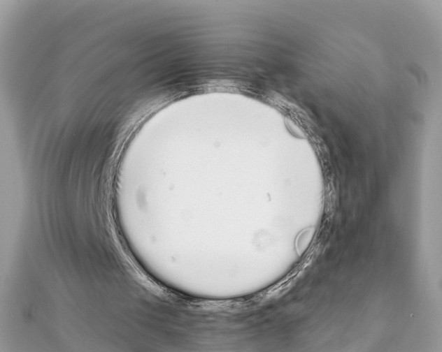 X0000111250049200908131215