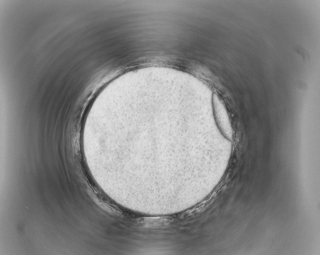 X0000111250050200908131215