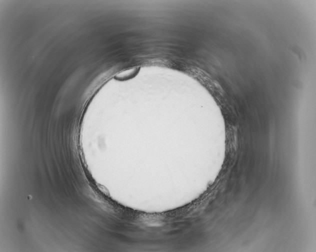 X0000111250051200908131215