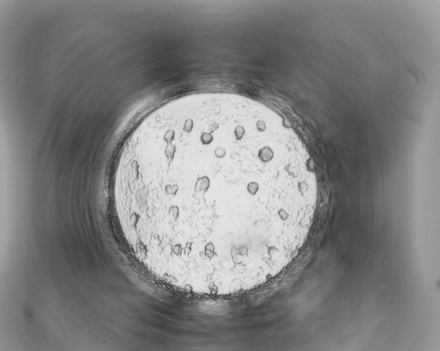 X0000111250053200908131215