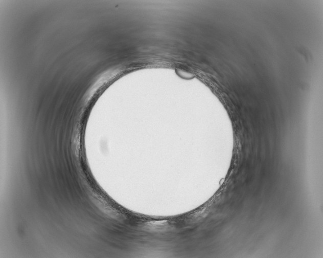 X0000111250054200908131215