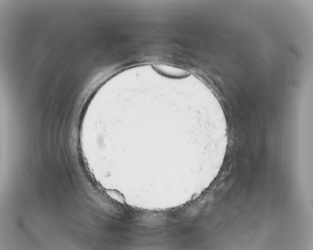 X0000111250055200908131215