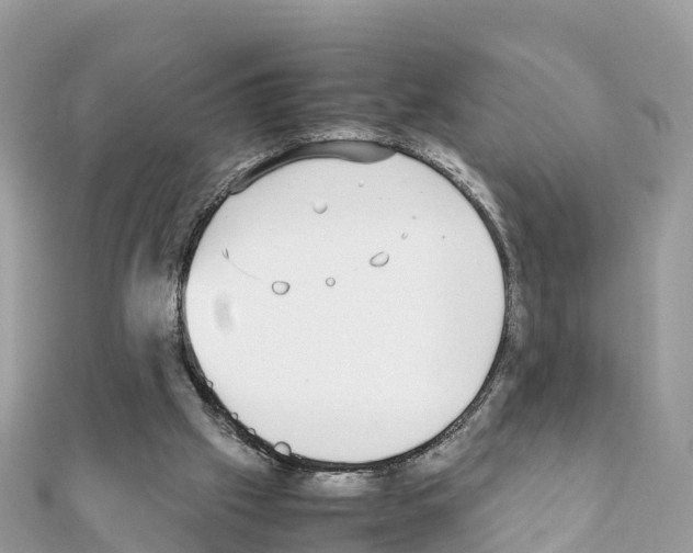 X0000111250057200908131215