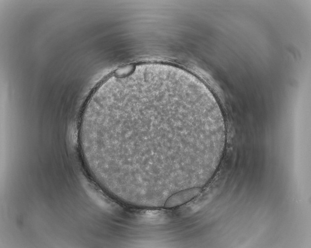 X0000111250060200908131216