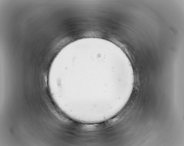 X0000111250061200908131216