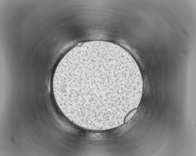 X0000111250062200908131216