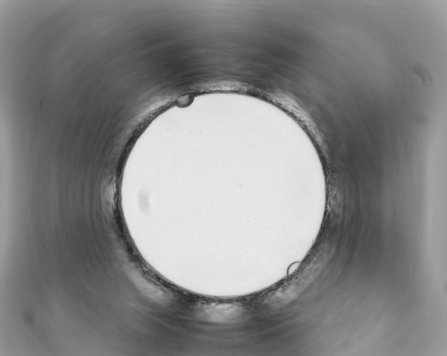 X0000111250063200908131216