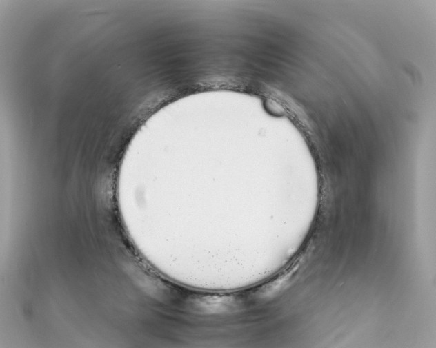 X0000111250065200908131216