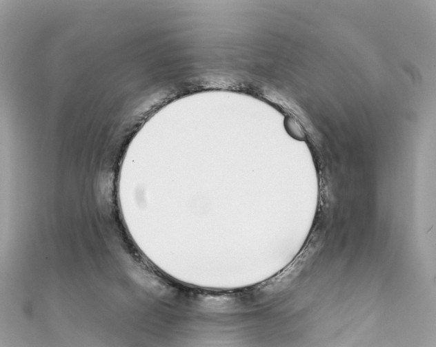 X0000111250066200908131216