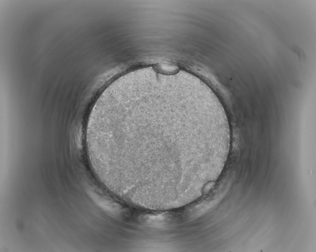 X0000111250068200908131216