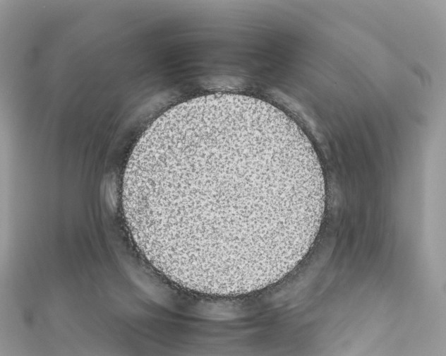 X0000111250069200908131216