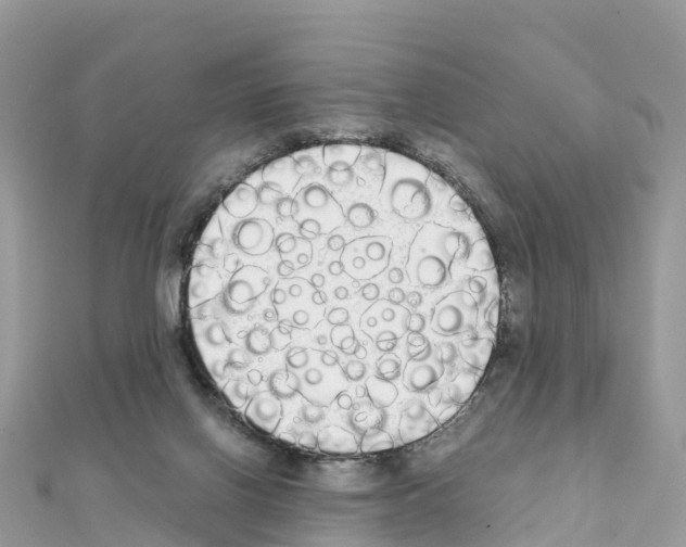 X0000111250070200908131216