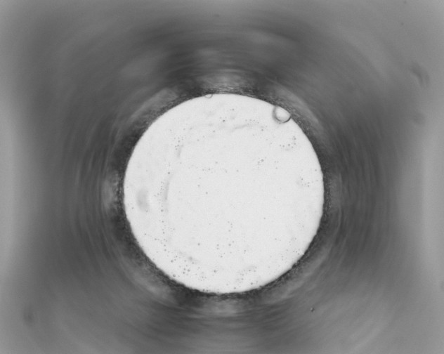 X0000111250073200908131216