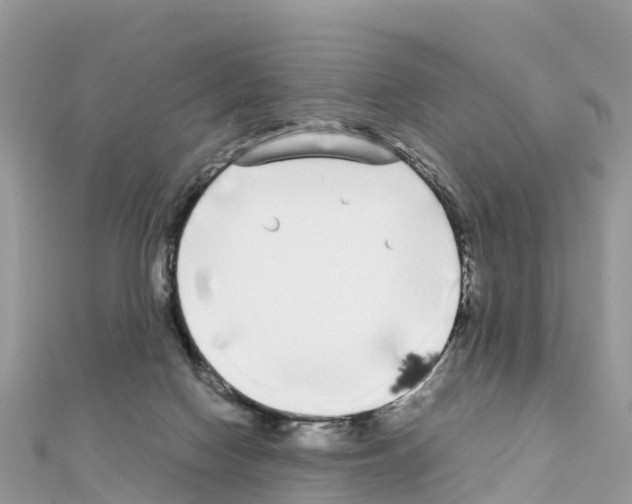 X0000111250074200908131216