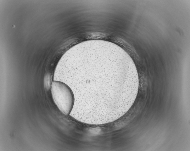 X0000111250075200908131216