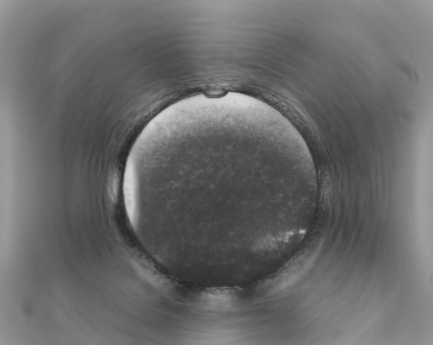 X0000111250076200908131216