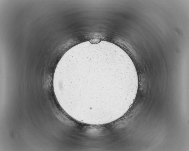 X0000111250077200908131216