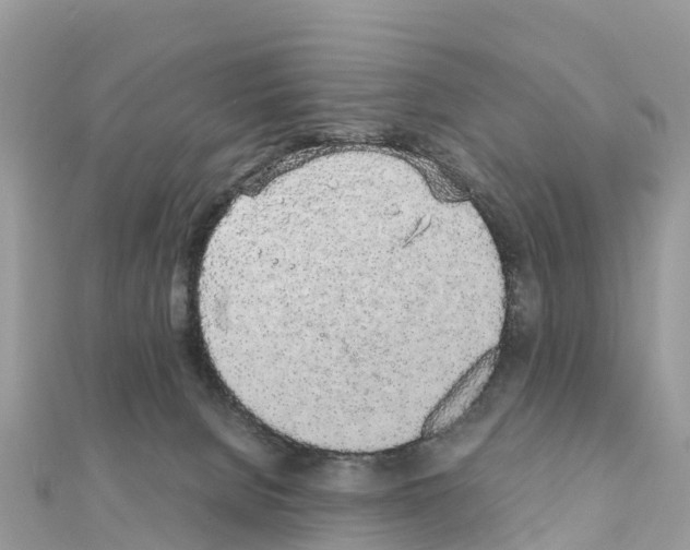 X0000111250080200908131216