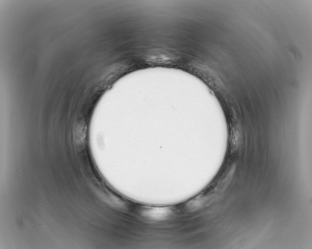 X0000111250081200908131216