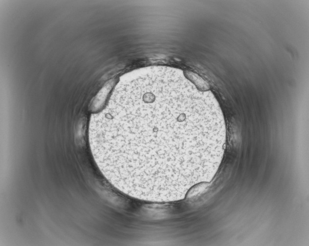 X0000111250082200908131216