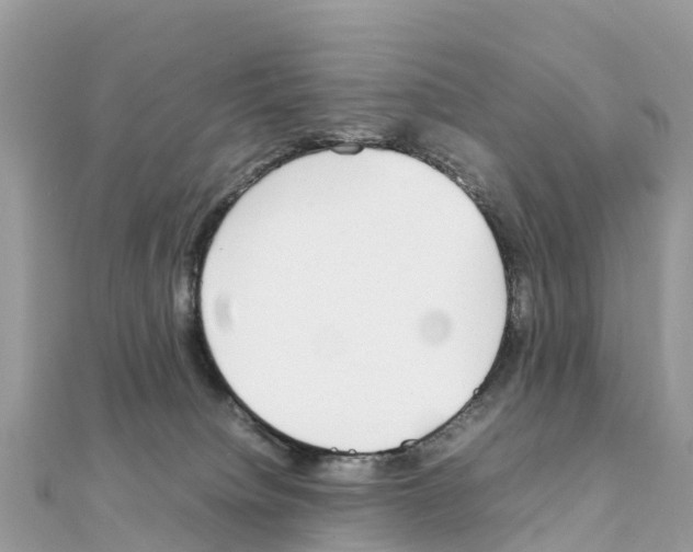 X0000111250084200908131216