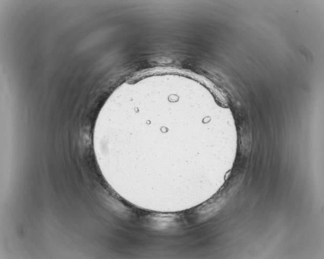 X0000111250085200908131216