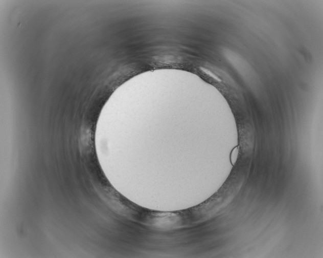 X0000111250087200908131216