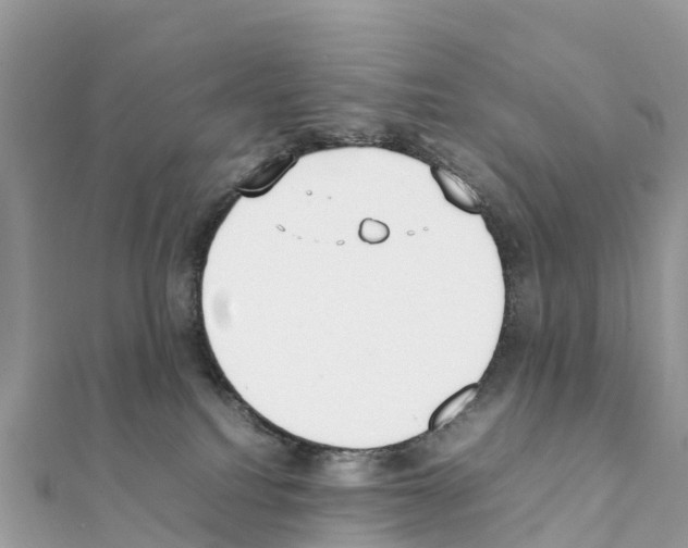 X0000111250088200908131216