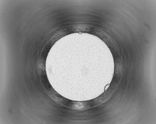 X0000111250091200908131216