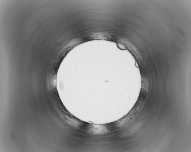 X0000111250095200908131216