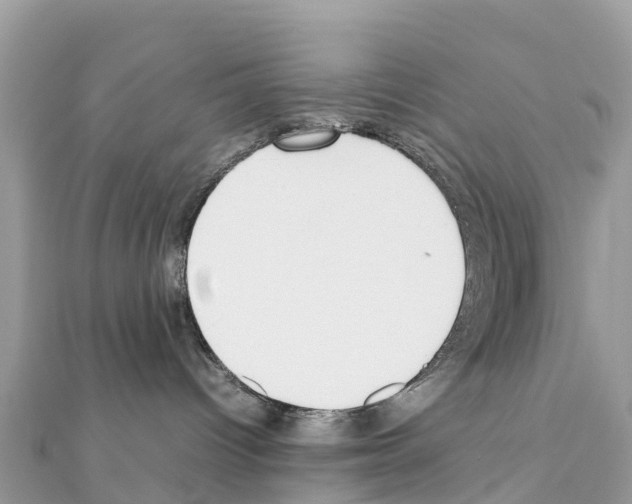 X0000111250096200908131216