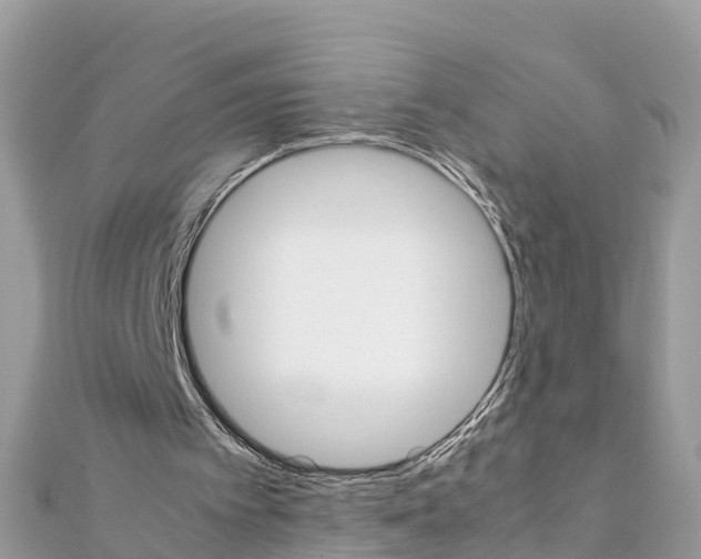 X0000111250097200908131215