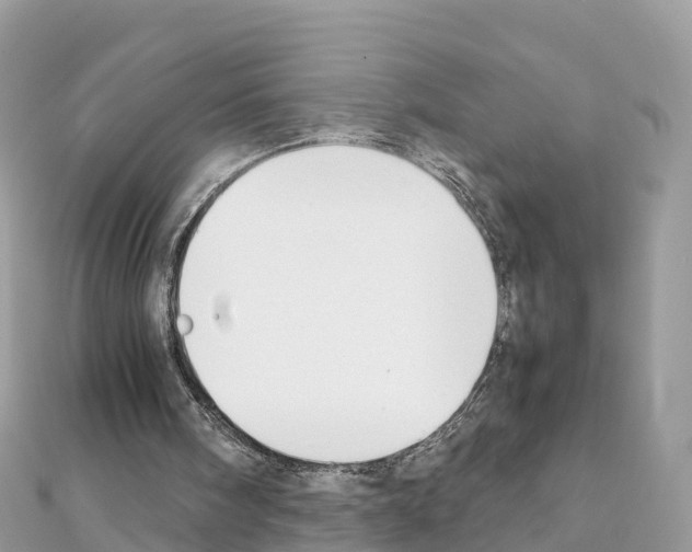 X0000111250098200908131215