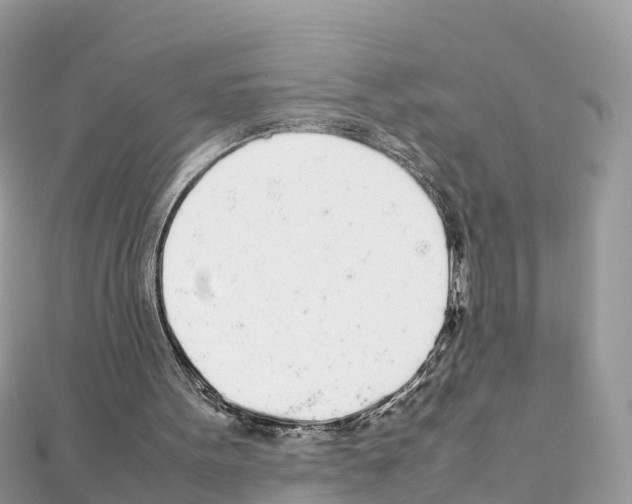 X0000111250099200908131215