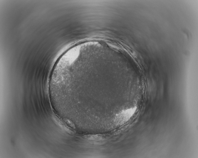 X0000111250100200908131215