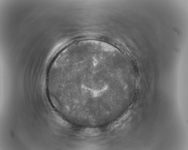 X0000111250101200908131215