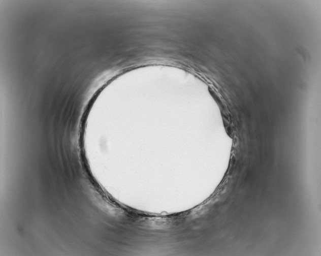 X0000111250104200908131215