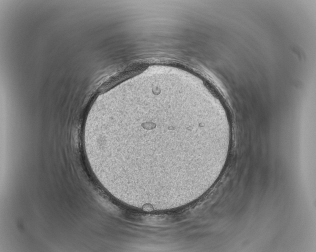 X0000111250105200908131215