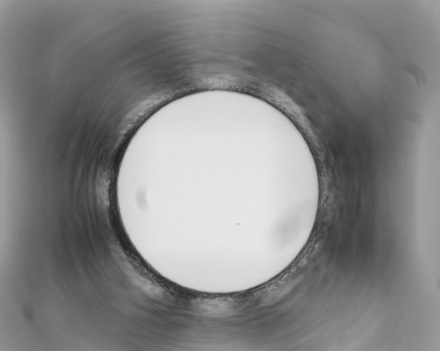 X0000111250106200908131215