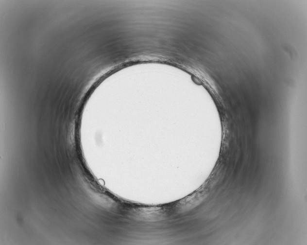 X0000111250108200908131215