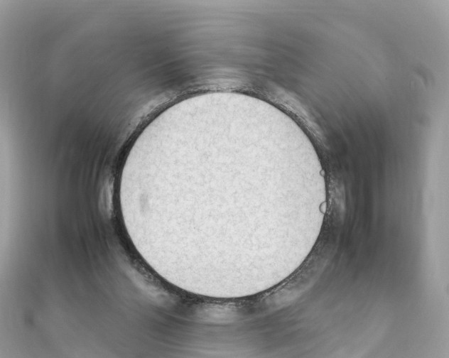 X0000111250110200908131215