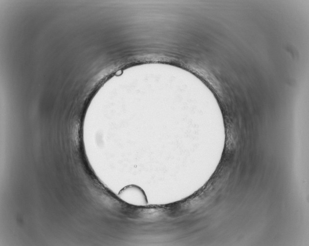 X0000111250111200908131215