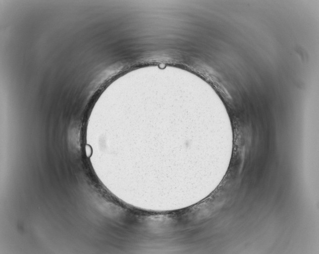 X0000111250112200908131215