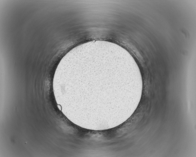 X0000111250113200908131215