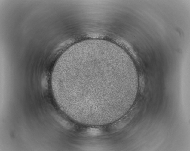 X0000111250114200908131215