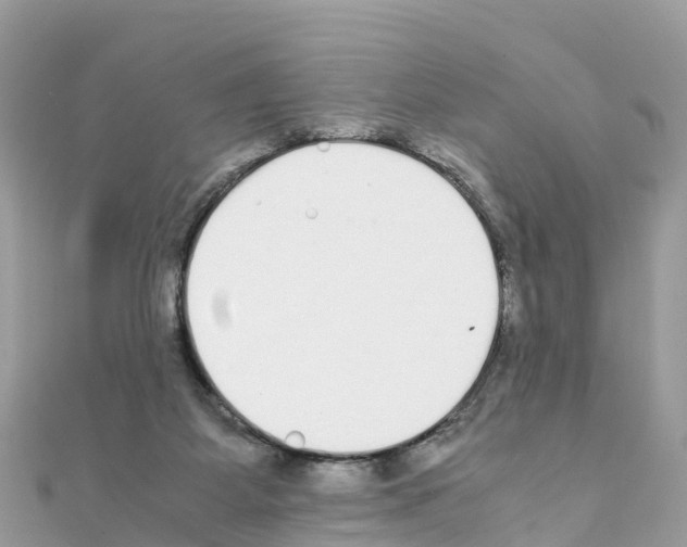 X0000111250115200908131215