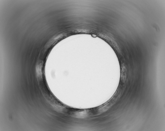 X0000111250116200908131215